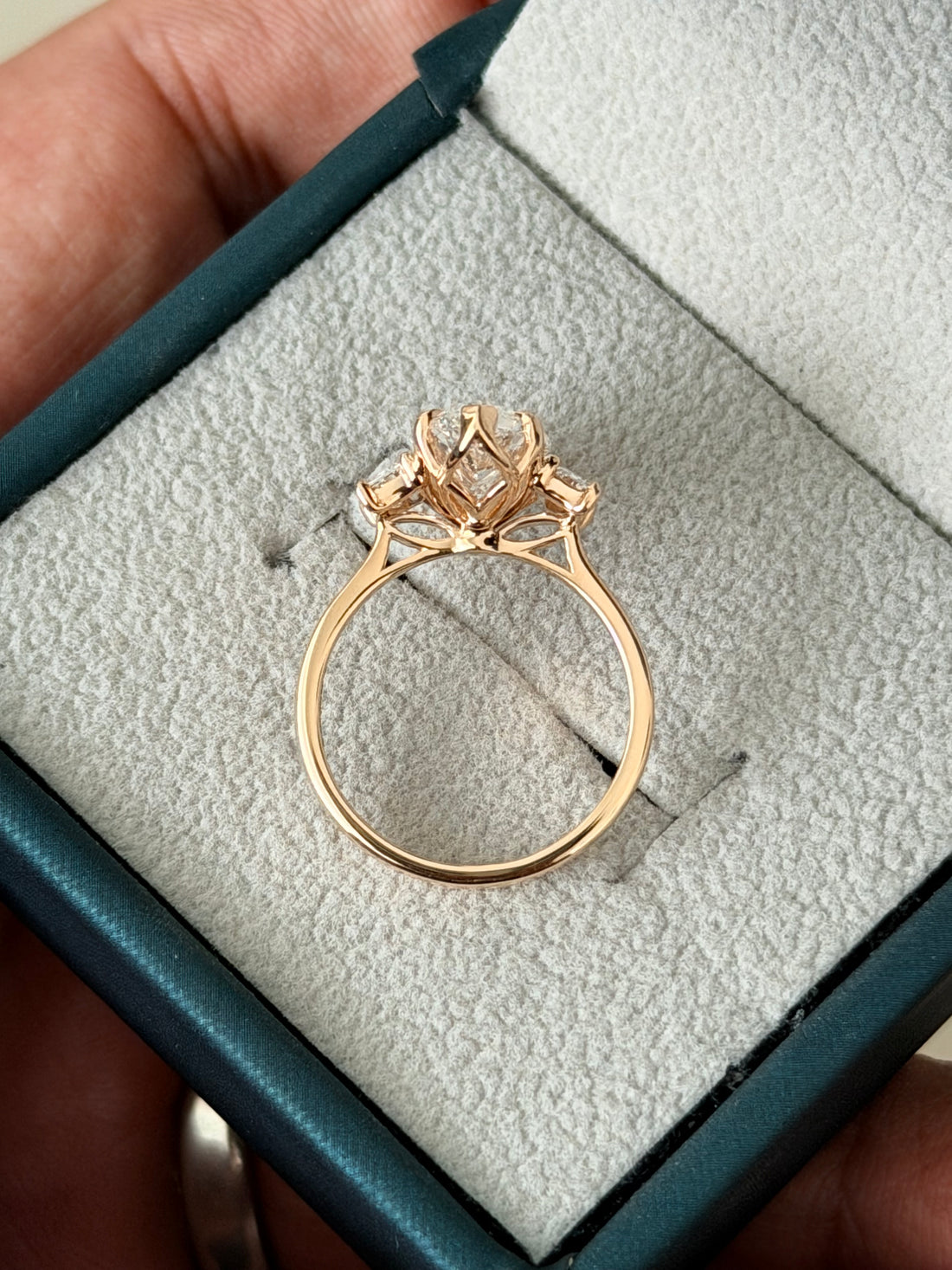 Sanghamitra’s Ring