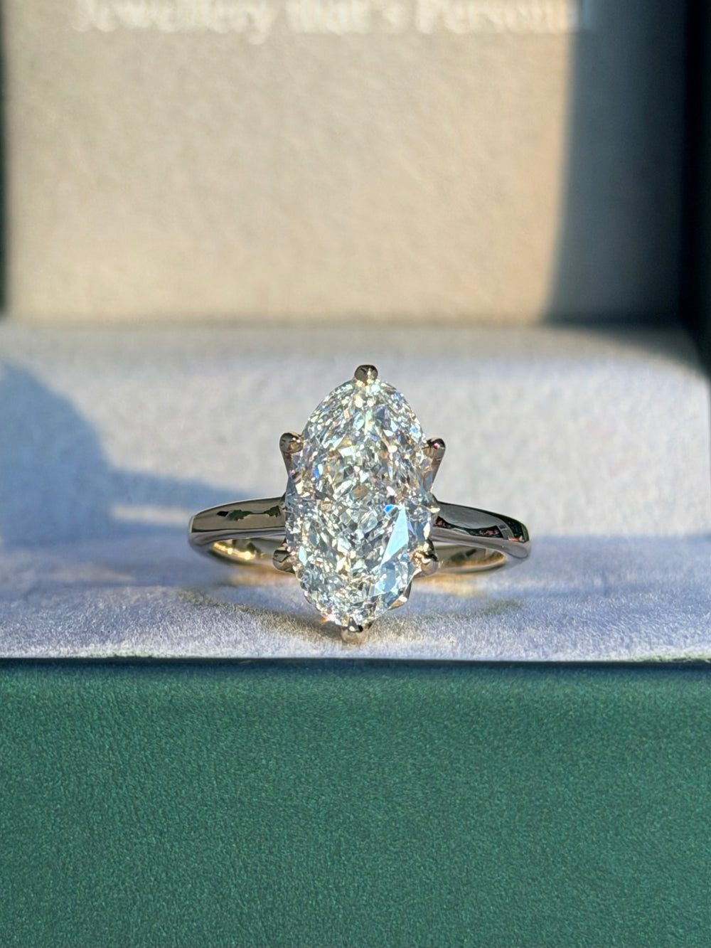 Vandana’s Ring