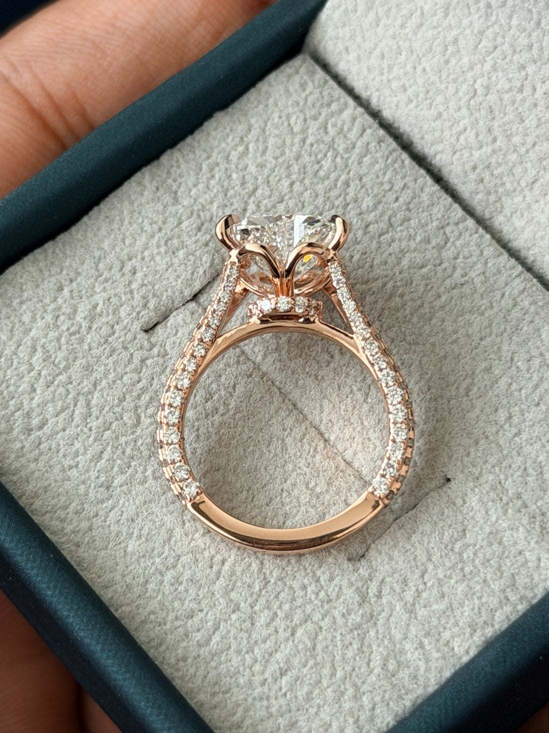 D's Ring