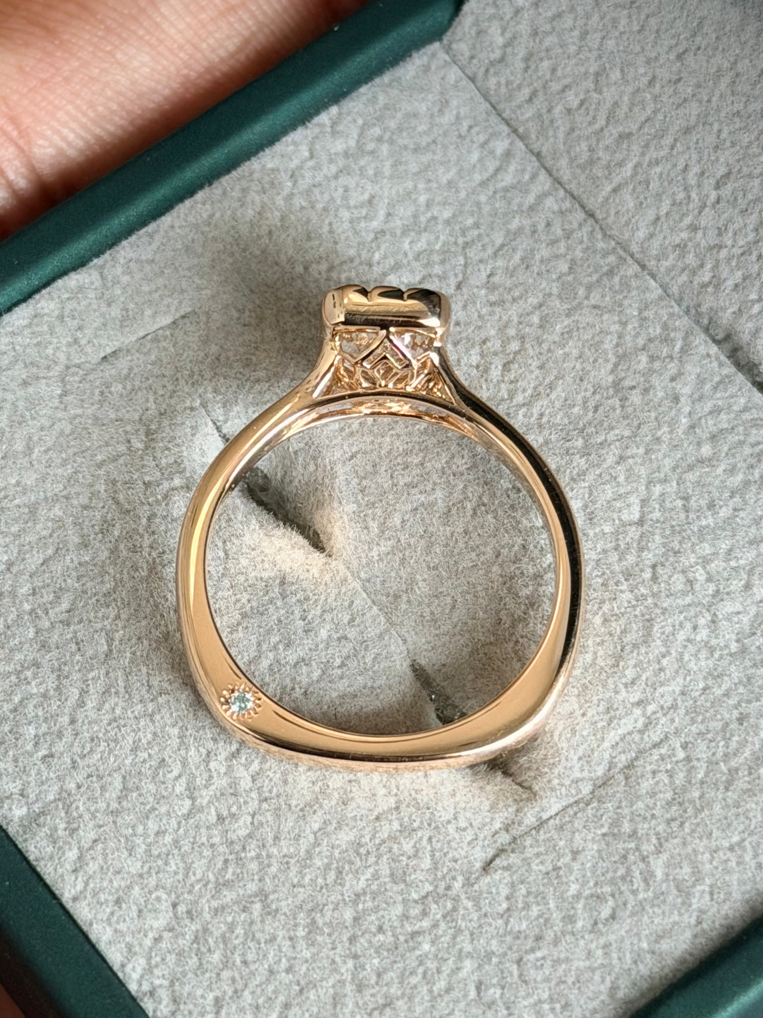 Aditi's Ring