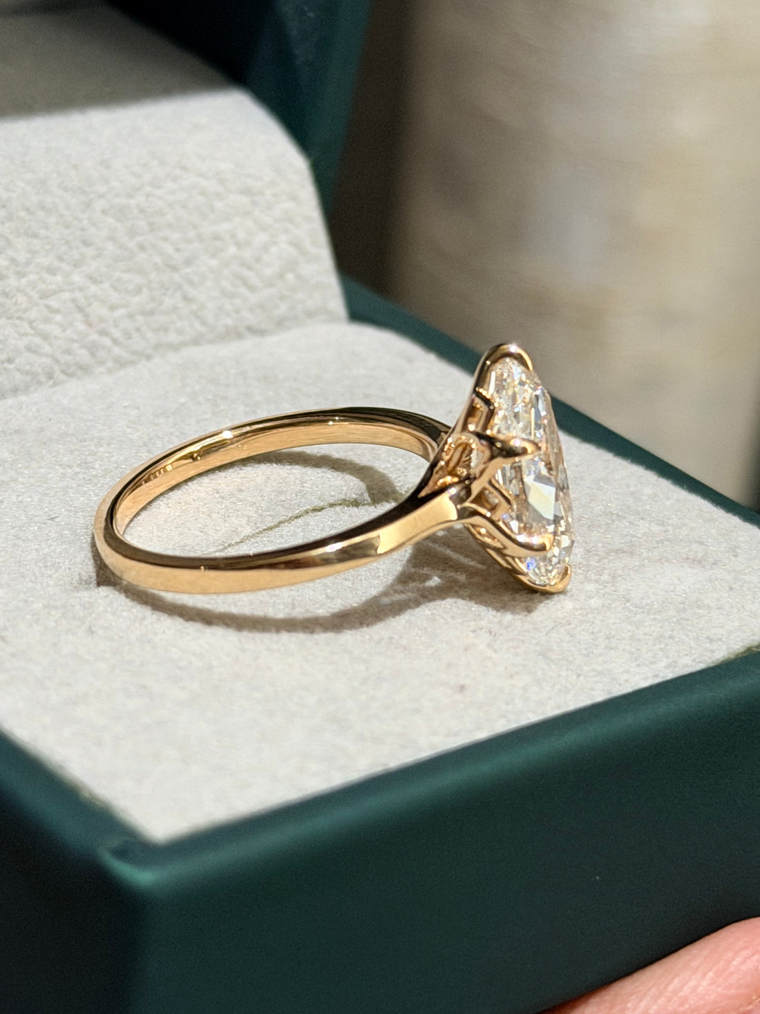 V's Ring